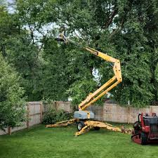 Douglass Hills, KY  Tree Services Company